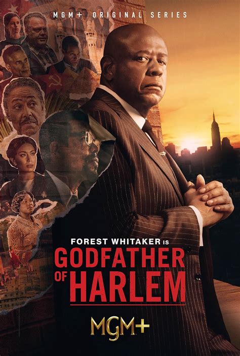 godfather of harlem myflixer